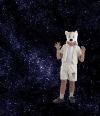 Костюм Белого медведя,  костюм Полярного медведя,  карнавальный костюм Белого Медвежонка Умки,  детский карнавальный костюм белого медведя, костюм белого медведя для мальчика, костюм белого медведя купить, куплю костюм белого медведя, костюм умки, ка